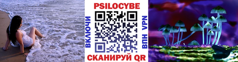 Псилоцибиновые грибы прущие грибы  Чишмы 